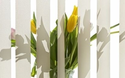 VERTICALES TRANSLUCIDOS ROMA